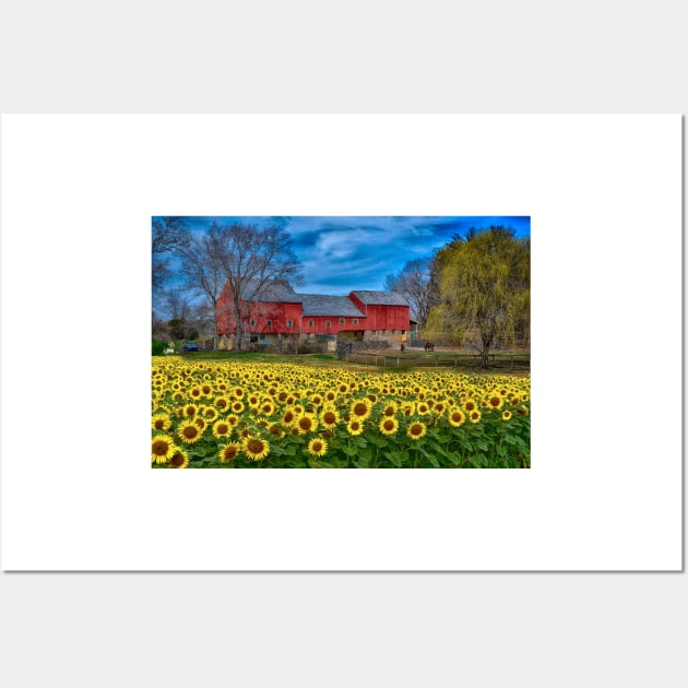 Sunflower Field Country Landscape Wall Art by JimDeFazioPhotography